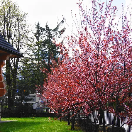 Zakopianski Dwor Penzion 3*